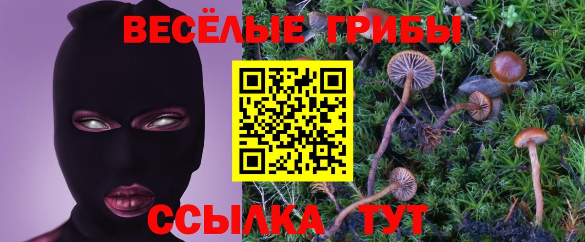 Псилоцибиновые грибы мицелий Гурьевск